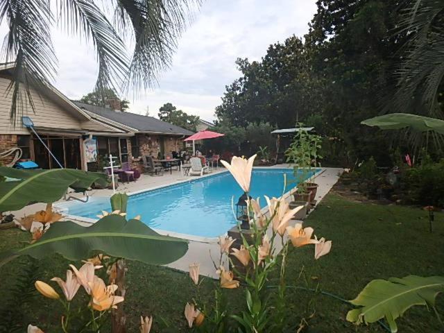 Poolside Paradise ナバー エクステリア 写真