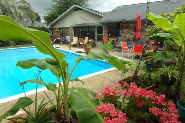 Poolside Paradise ナバー エクステリア 写真